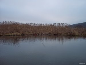 100_6502.JPG
