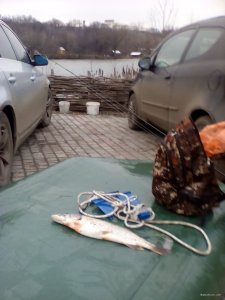 IMG_20171229_151322.jpg