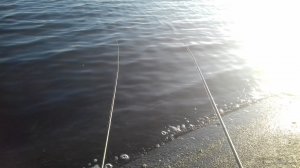 20171229_091140.jpg