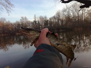 IMG_20171229_092730.jpg