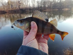 IMG_20171229_104106.jpg