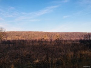 IMG_E0385.JPG