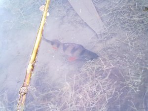 30122017283[1].jpg