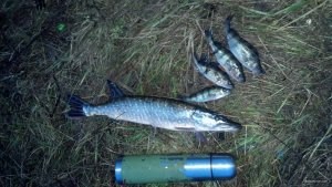 IMG_20171230_154811_745[1].jpg