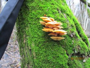 IMG_0145.JPG