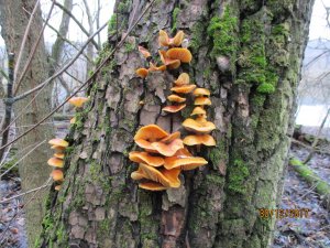 IMG_0149.JPG