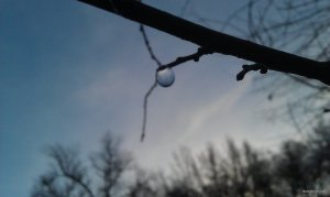 IMAG0184.jpg