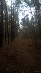 WP_20171231_14_52_39_Pro_LI.jpg