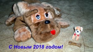 CIMG1479.JPG