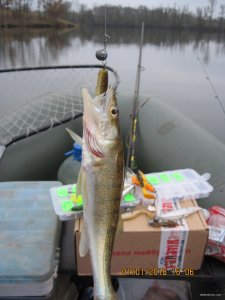 IMG_8006.JPG