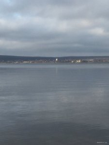 IMG_2411.JPG