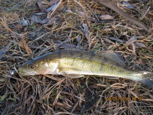 IMG_8027.JPG