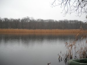 DSCN1282.JPG