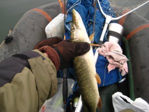 IMG_8837[1].JPG