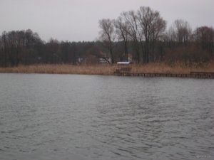 IMG_8838[1].JPG