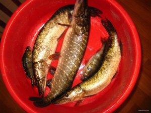 IMG_8845[1].JPG