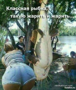 FB_IMG_15150835918367585-450x530.jpg