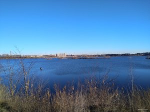 IMG_20180108_131723.jpg