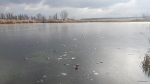 20180112_123521.jpg