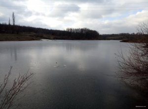 P80112-115810.jpg