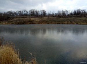 P80112-114455.jpg