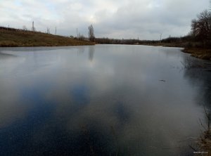 P80112-114451.jpg