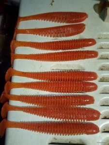 IMG_20171205_005249.jpg