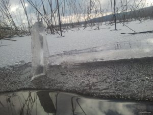 20180112_124442.jpg