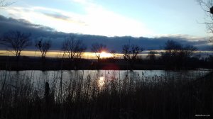 20180112_153242.jpg