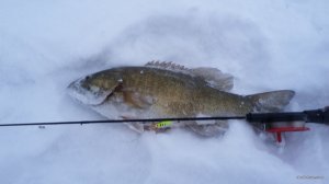 IMG_7555.JPG