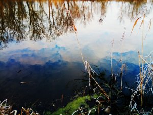 FOTO_20180113_083248.jpg
