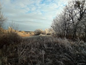 FOTO_20180113_082539.jpg