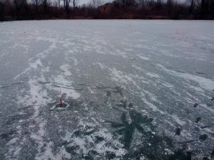 IMG_20180113_082535.jpg