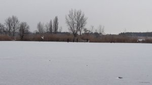 20180113_091720.jpg