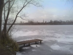 IMG_20180113_103939.jpg