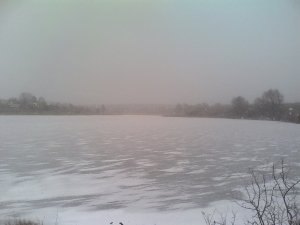 IMG_20180113_113807.jpg
