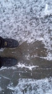 20180113_161143.jpg