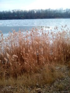IMG_20180113_154023.jpg