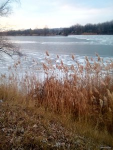 IMG_20180113_154030.jpg