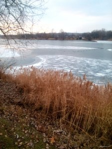 IMG_20180113_154121.jpg