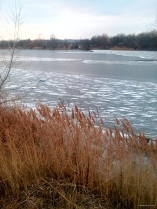 IMG_20180113_154100.jpg
