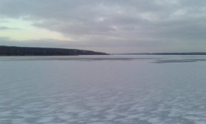 20180113_161455.jpg