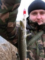 photoshare.ru-4559314.jpg