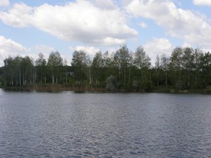 P6084072.JPG