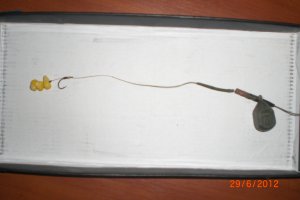 CIMG0409.JPG