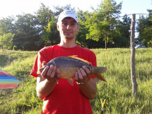 2012-06-01 18.42.54.jpg