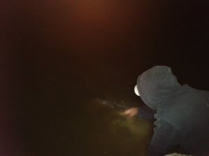 2012-07-01 01.57.34.jpg