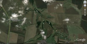 журавли.jpg