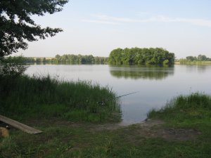IMG_1922.JPG