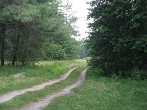 IMG_1958.JPG